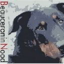 Beauceron in nood